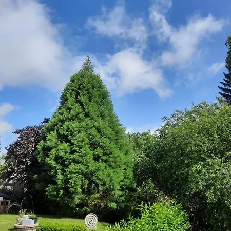 Gartenapartment *